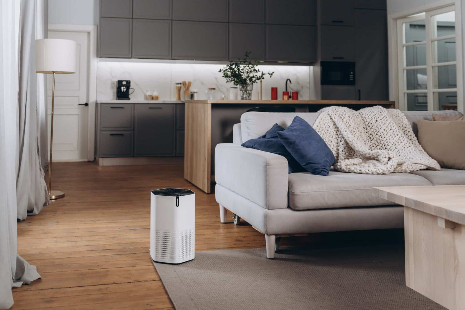 air purifier for smokers