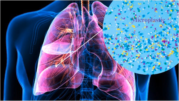 7 shocking ways on how do microplastics get into humans' bodies?