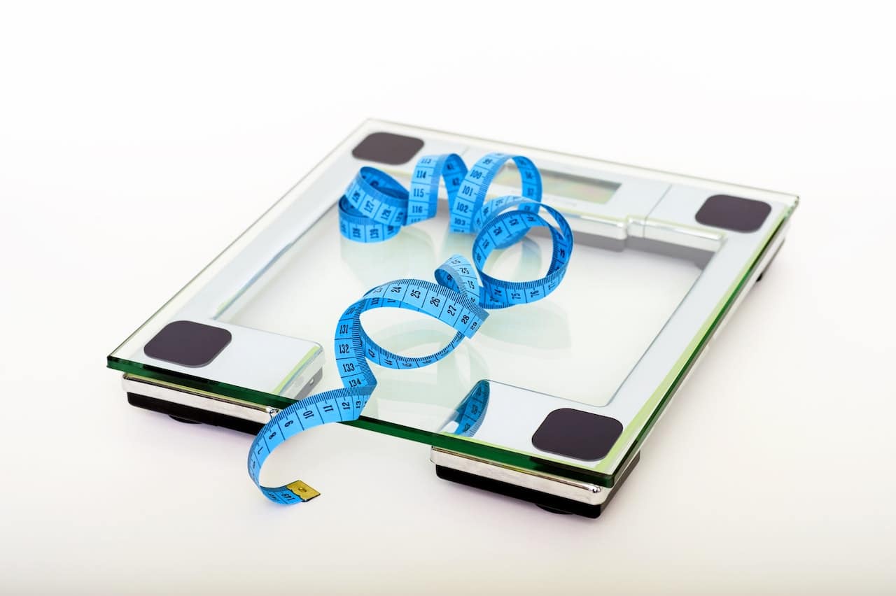 obesity and leptin