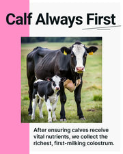 Cowabunga Bovine Colostrum Powder - Superfood with Gut Health Benefits - Immunity Support, Hair Growth and More! image 6