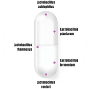 BioBloom Vaginal Probiotics for Women image 2