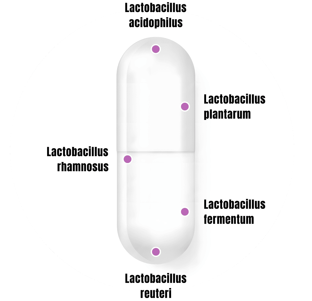 BioBloom Vaginal Probiotics for Women image 2