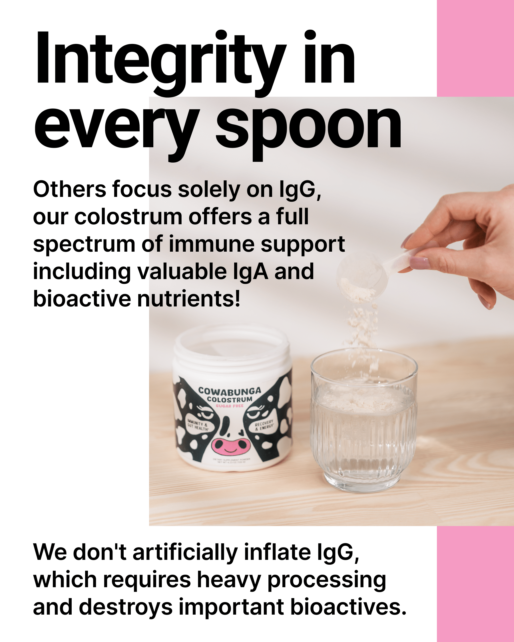 Cowabunga Bovine Colostrum Powder - Superfood with Gut Health Benefits - Immunity Support, Hair Growth and More! image 4