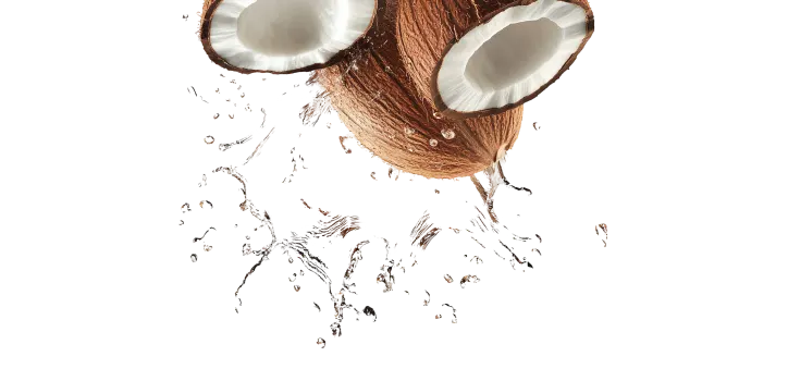 Coconut MCT Oil