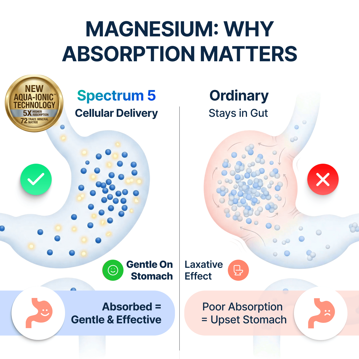 Spectrum 5 Magnesium Complex
