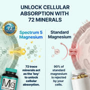 Spectrum 5 Magnesium Complex