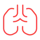 icon 16