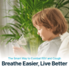 portable mesh nebulizer