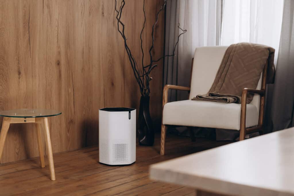Air purifier for mold