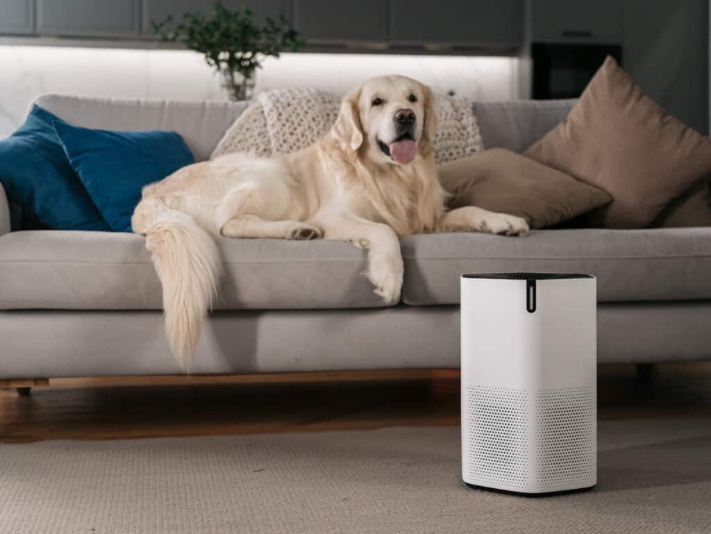 air purifier for pets