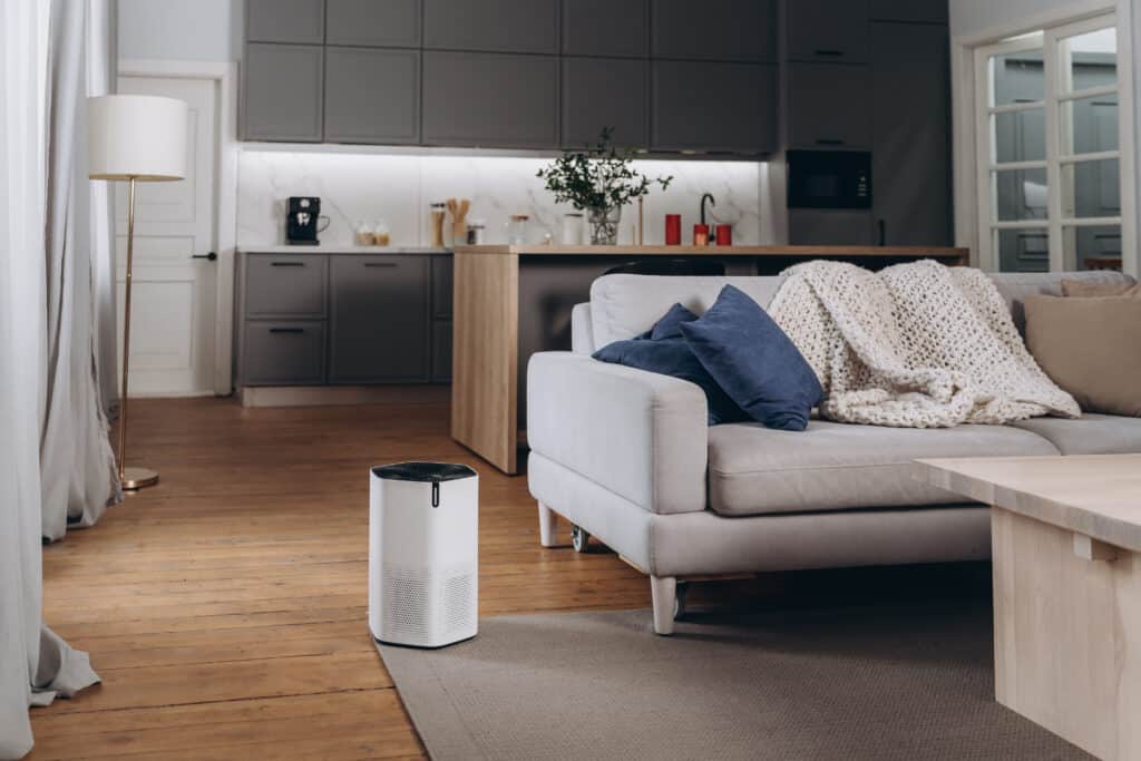 air purifier for smokers