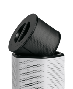 best air purifier for mold