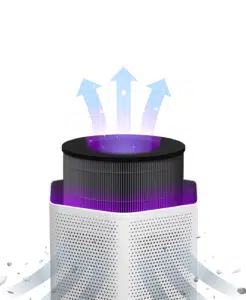 best air purifier for smoke