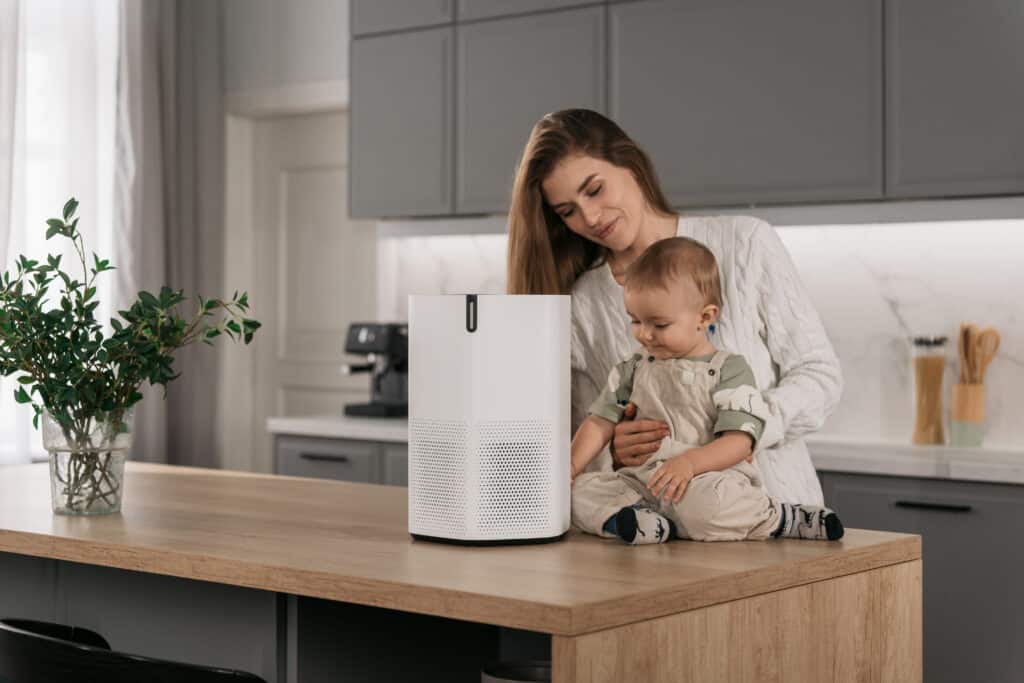 air purifier and humidifier