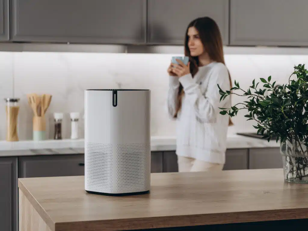 best air purifier