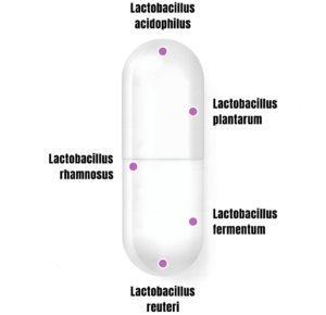 women's probiotic capsules