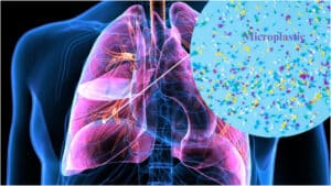 how do microplastics get into humans